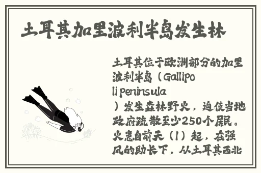 挪威的森林激烈的打扑克没进去